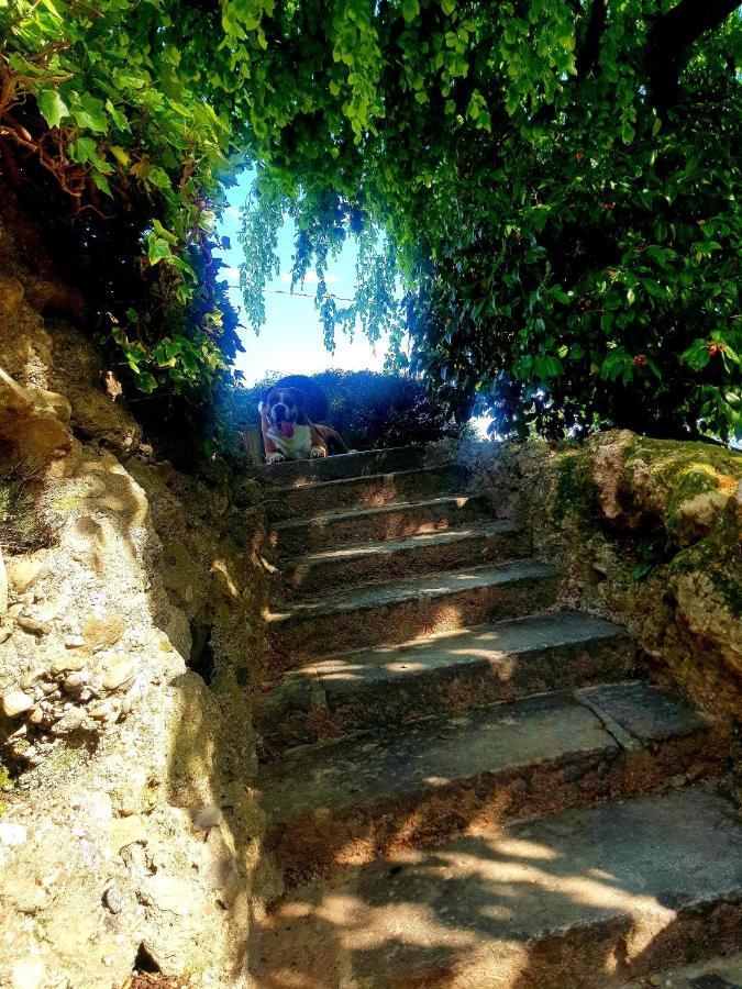 B&B Margot Albavilla Dış mekan fotoğraf